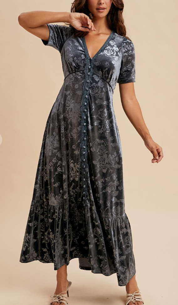 Enchanted Beauty Velvet Embossed Dress