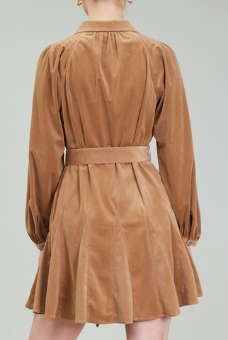 Golden Hour Velvet Dress