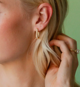 Crystal Link Earrings