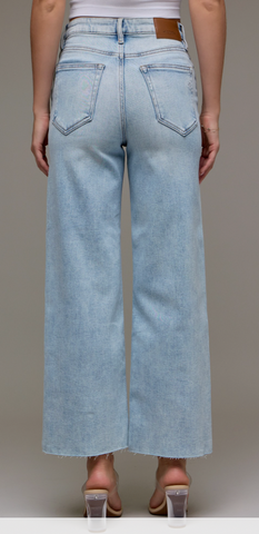 HIDDEN High Rise Light Wash Denim Jeans (Elisa)