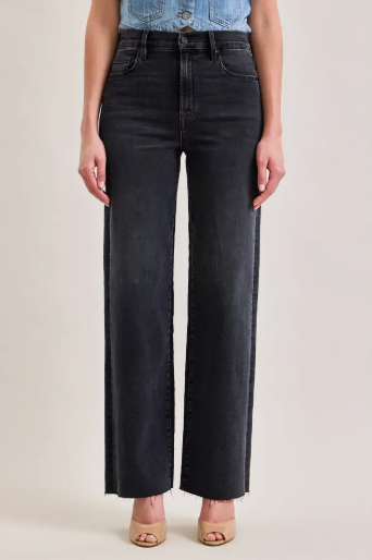 HIDDEN High Rise Black Wash Denim (Remi)