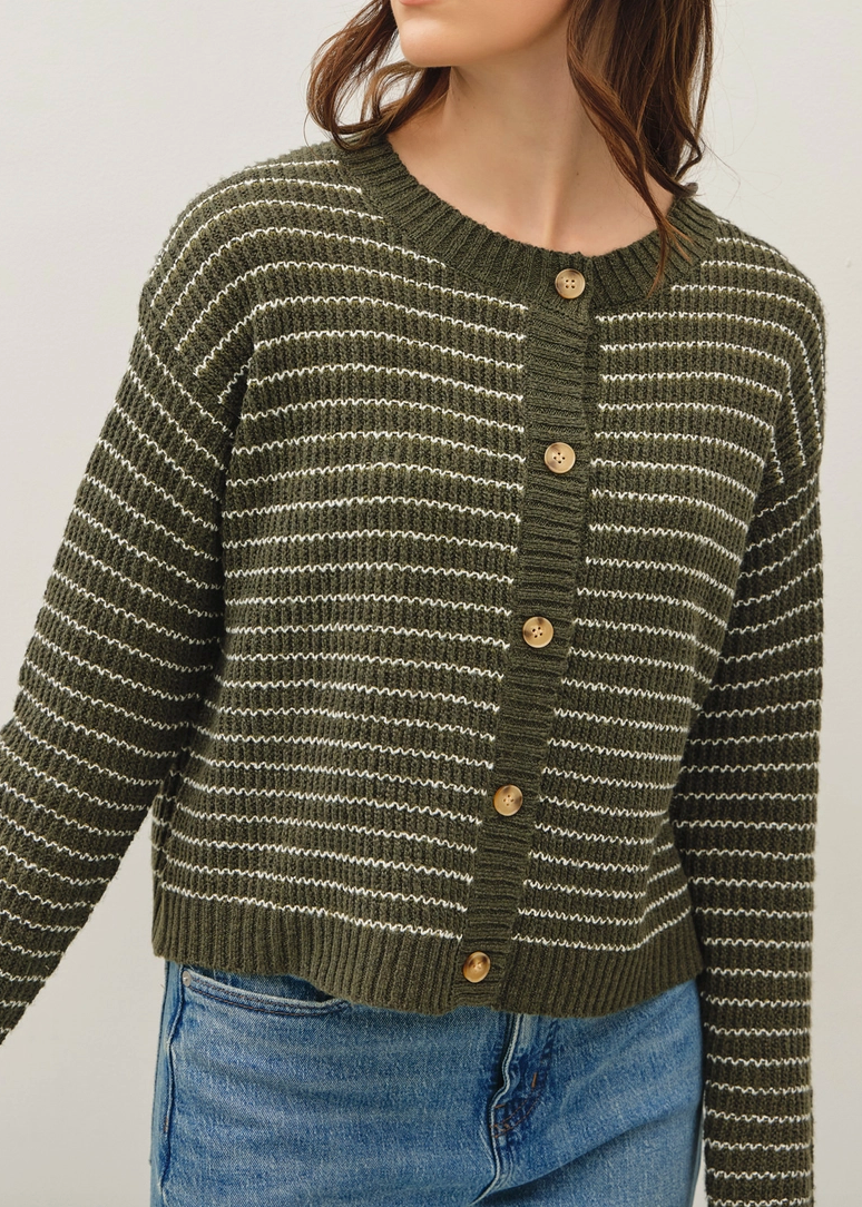 Tree Farm Striped Cardigan (Winter Green)