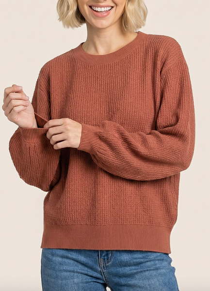 Spiced Cider Textured Sweater (Rust)
