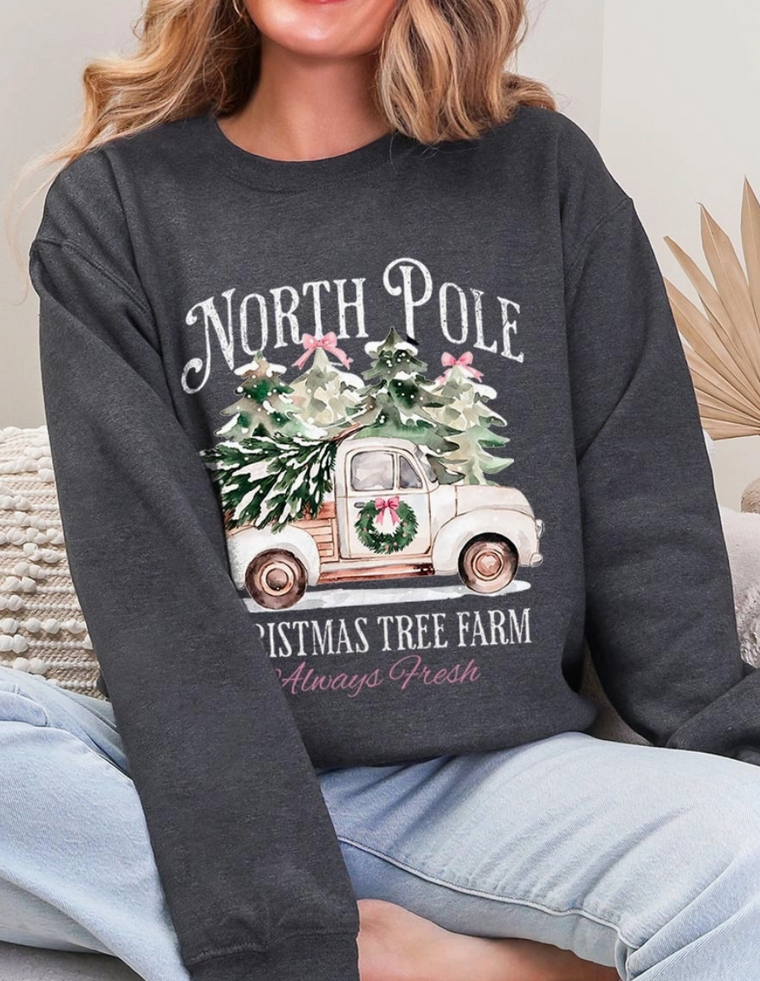(PRE-ORDER) North Pole Graphic Crew (Dark Heather)