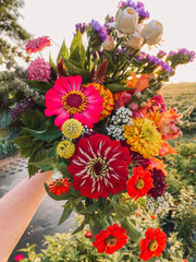 THREE MASON JAR Bouquet  Subscription (During the months of July-September)