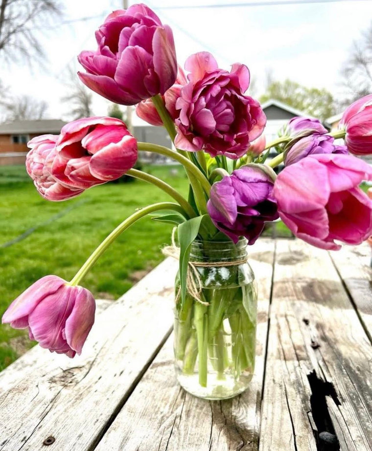 Tulip Mason Jar