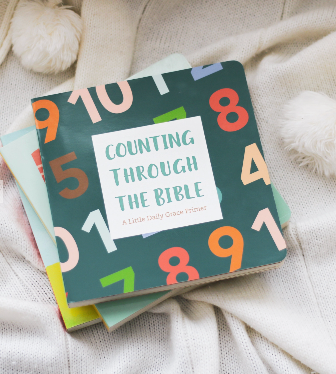 Counting Through The Bible Board Book