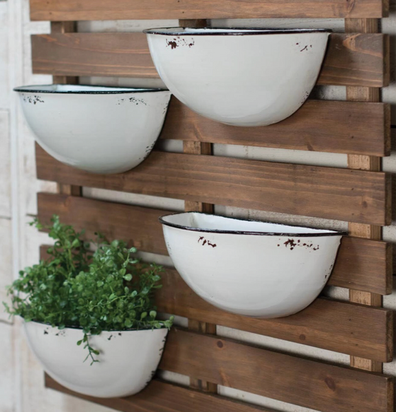 Plant Wall Hanger