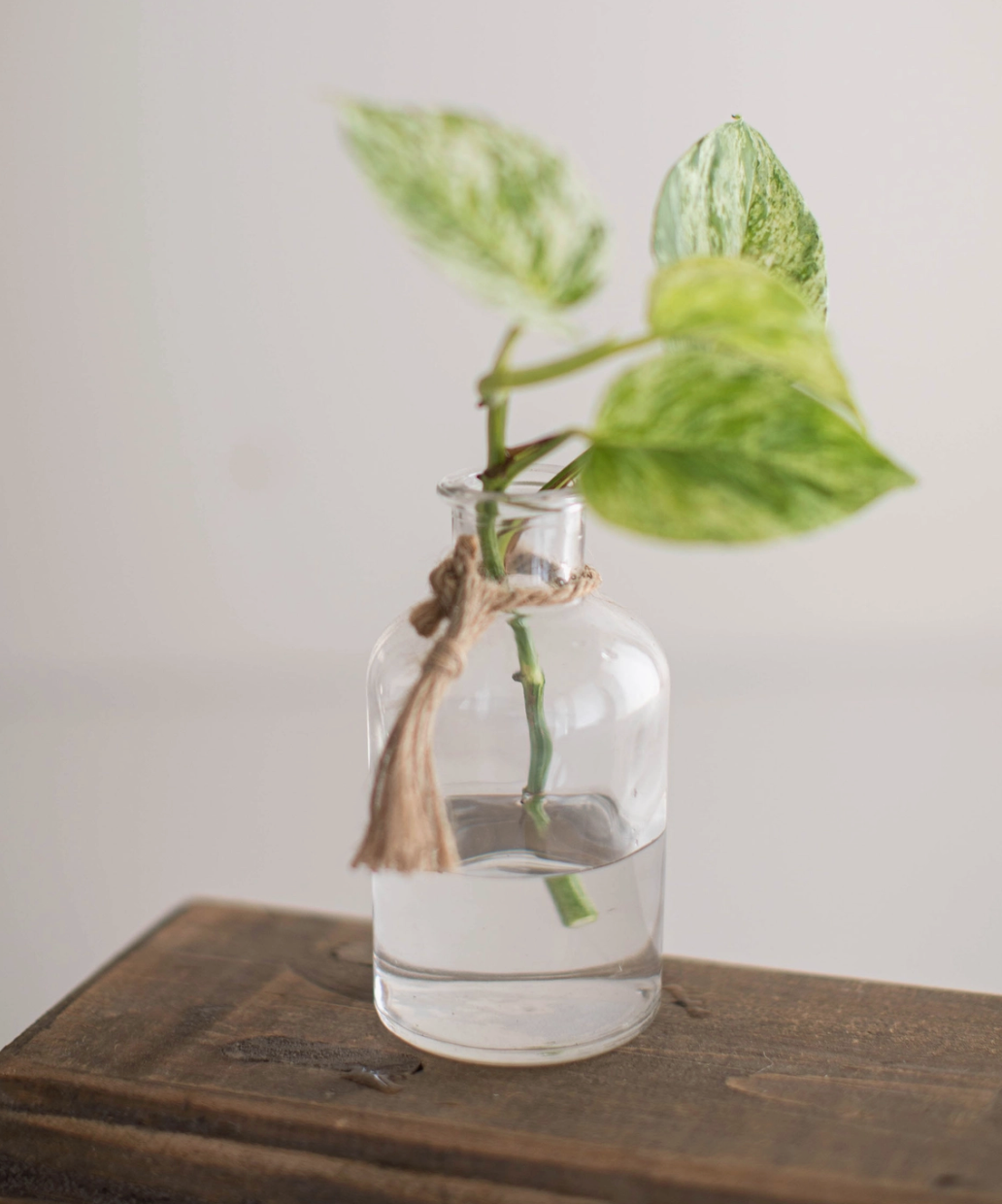 Sawyer Bud Vase