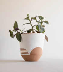 Tala Planter