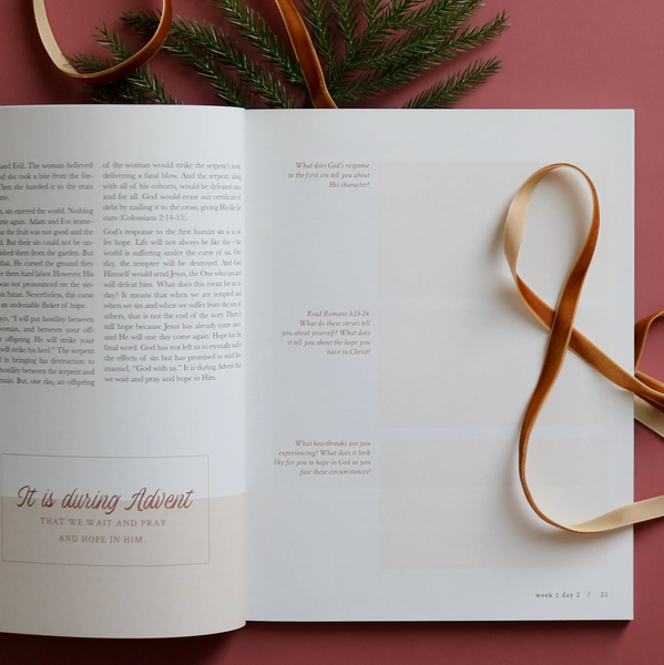 Hope Has Come Advent Study