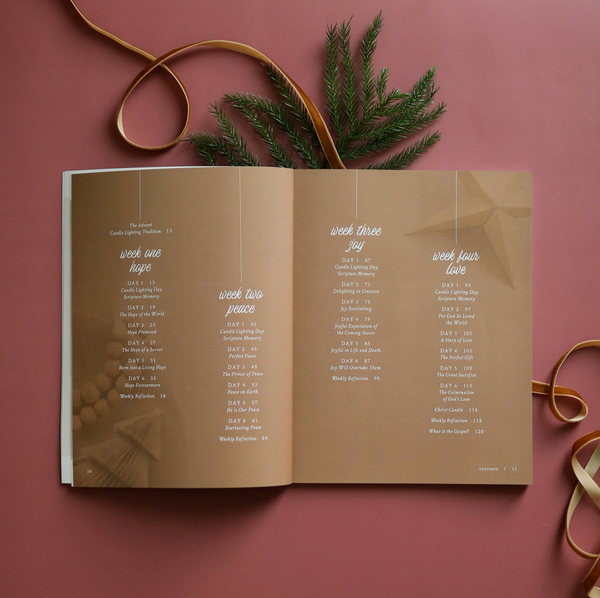 Hope Has Come Advent Study